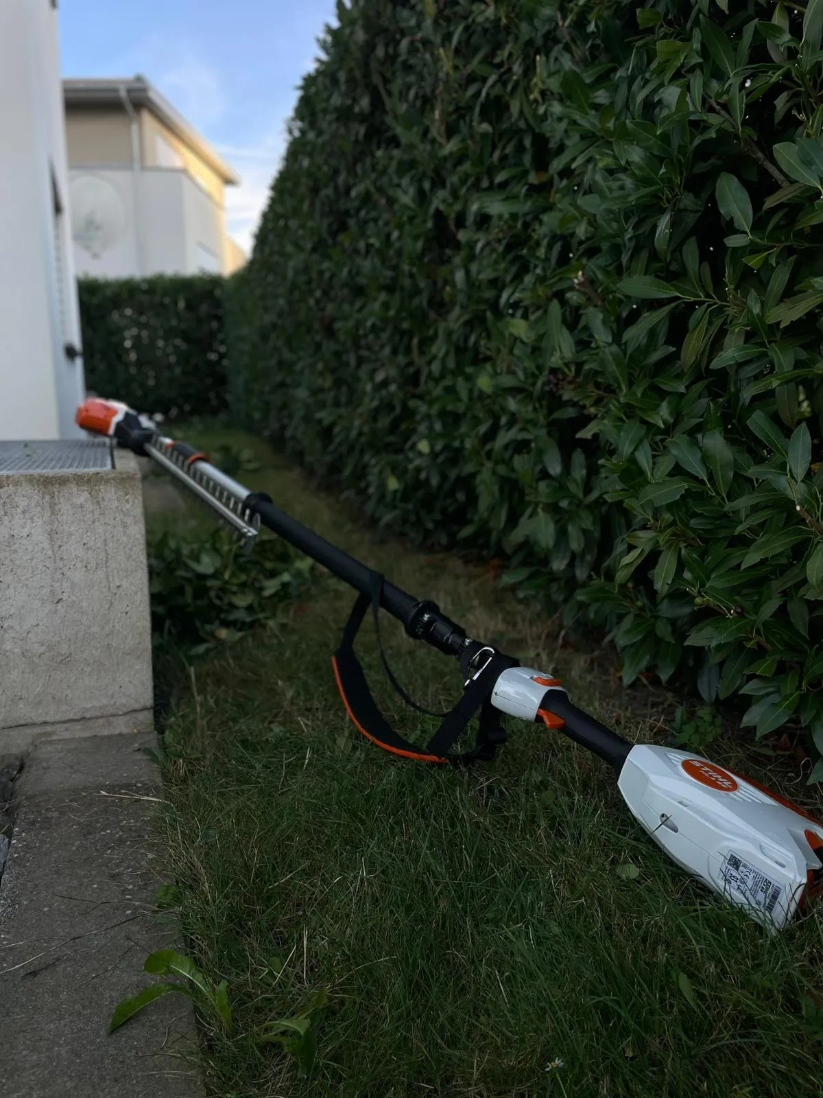 Gartenpflege - Rasen, Hecke, Beete